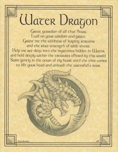 the front cover of an air dragon book