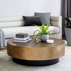 a living room with a couch, coffee table and potted plant on the floor