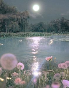 the moon is shining over a lake with dandelions