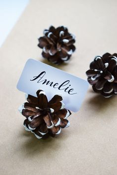 three pine cones are sitting on a table with a name tag in front of them