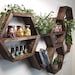 two wooden shelves filled with bottles and plants