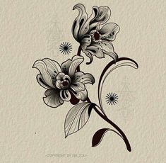 a drawing of flowers with leaves and petals on the bottom half of each flower, in black and white