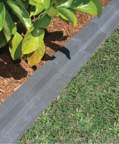 a garden with green plants and brown mulch on the ground next to some grass