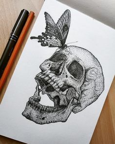 a drawing of a skull with a butterfly on it's head and a pencil next to it