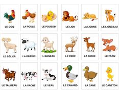 an image of animals that are in french