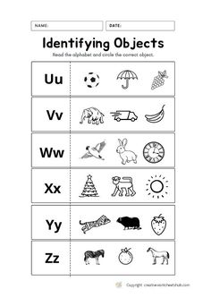 worksheet for identifying objects