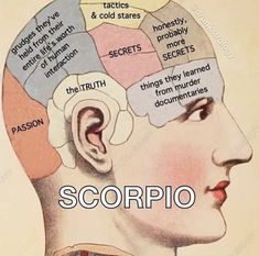 an image of a man's head with the words scorpio on it