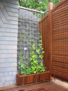 a wooden fence with plants growing in it