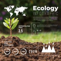 the ecology infographic poster is displayed on top of dirt