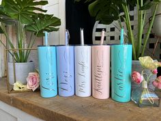 four different colored tumbles sitting on top of a wooden table next to a potted plant