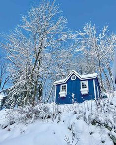 a small blue house in the middle of snow covered ground with trees and bushes around it