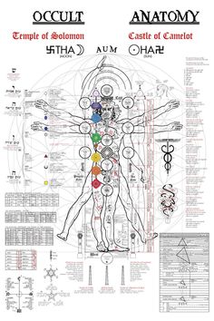 Occult Anatomy, Golden Dawn, Human Body Art, Vitruvian Man, Alchemy Symbols, The Occult, Occult Art