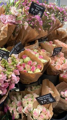 many different types of flowers are on display