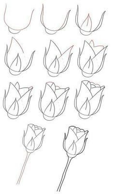 how to draw a flower step by step