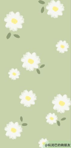 a green background with white flowers on it