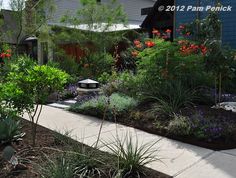 an outdoor garden with flowers and plants in the foreground, next to a house