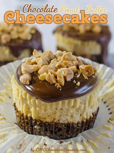 chocolate peanut butter cheesecakes on a plate with the title overlaying it