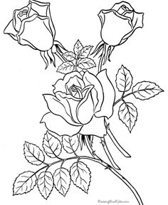 a drawing of three roses on a branch