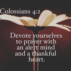 an open book with the words colossans 4 2 devote yourselfs to prayer with an alert mind and a thank heart