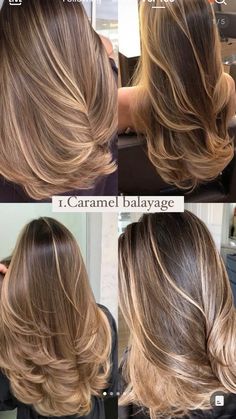 Light Honey Brown Highlights, Hair Color Ideas For Wedding, Soft Golden Highlights Brown Hair, Brunette Bayalage Honey, Black With Light Brown Highlights, Caramel Brown Balayage With Money Piece, Balayage Hair Honey Brown, Best Brown Hair Color For Blue Eyes, Balayage Hair Pale Skin