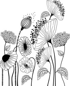 black and white drawing of flowers