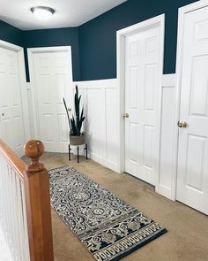 a hallway with blue walls and white doors, an area rug on the floor in front of two doorways