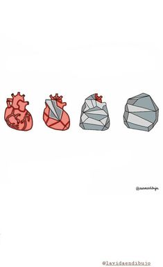 four different types of heart shapes and their corresponding structures are shown in this drawing by amanda burk