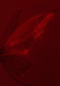 a red background with an image of a butterfly on it's back end and wings