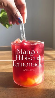 Mango Simple Syrup, Hibiscus Lemonade, Makanan Rendah Kalori, Resep Diet