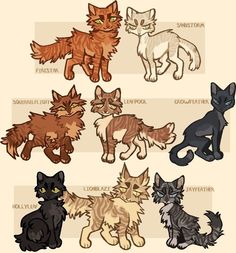 the different types of cats are shown in this drawing style, and each cat has its own name on it