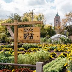 a wooden sign sitting in the middle of a garden filled with lots of plants and flowers