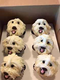 six cupcakes with white frosting dogs on them in a box and one has its mouth open