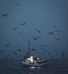 a boat in the water with seagulls flying around it