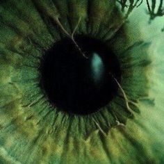 an extreme close up view of the iris of a human eye