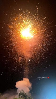 fireworks are lit up in the night sky with palm trees and blue sky behind it