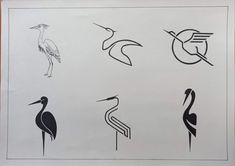 various types of birds are shown in black and white on a piece of paper that is sitting on a table