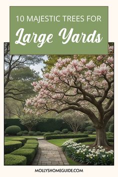 the words 10 majestic trees for large yards are in front of a garden path with pink flowers