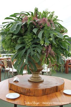 a large potted plant sitting on top of a wooden table in a room filled with tables and chairs