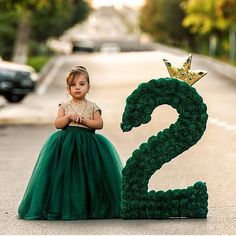 Birthday Photoshoot, Baby Photoshoot, Baby Birthday, Future Kids, Birthday Dresses, Baby Pictures, Baby Photography