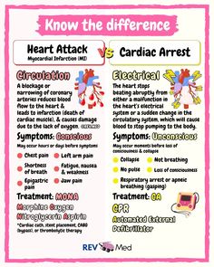 REV MED • Anatomy & Medical Education (@rev.med) • Instagram photos and videos Cardiovascular System Anatomy, Nurse Charting, Bae Ideas, Nursing Hacks, Charting For Nurses, Nurse Bae, Nurse Education