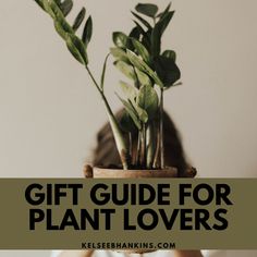 a plant in a vase with the words gift guide for plant lover's on it