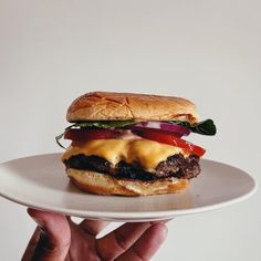 a hand holding a white plate with a cheeseburger on it