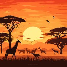 a sunset with giraffes and other animals in the foreground