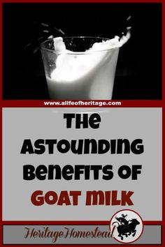 the astounding benefits of goat milk for your health and well balanced diets