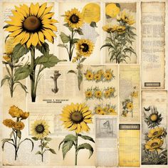 an old book with sunflowers and other flowers on it's pagers