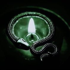 a candle with a snake on it in the dark