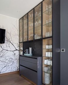 a black cabinet with glass doors is in the middle of a wood floored room