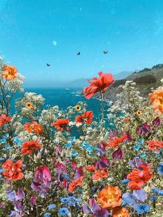 an image of colorful flowers by the ocean