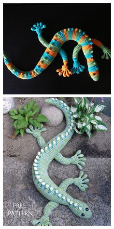 two pictures with different colored lizards on them