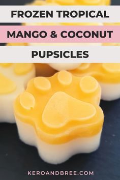 two ingredient mango and coconut frozen dog treats with text overlay reading 2 ingredient mango & coconut frozen dog treats